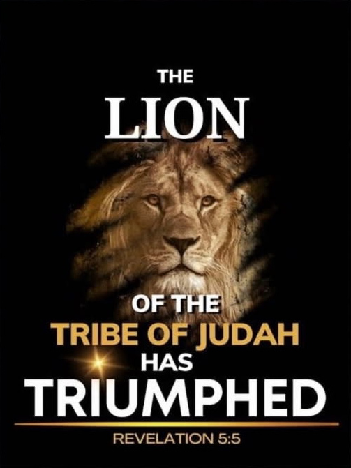 The New Creation Ministry logo: a lion's face on black with the words The Lion of the Tribe of Judah has triumphed, Revelation 5:5.